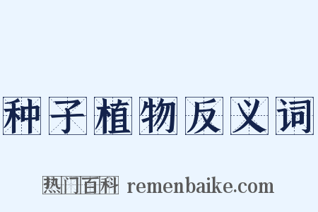 种子植物反义词是什么意思的图片